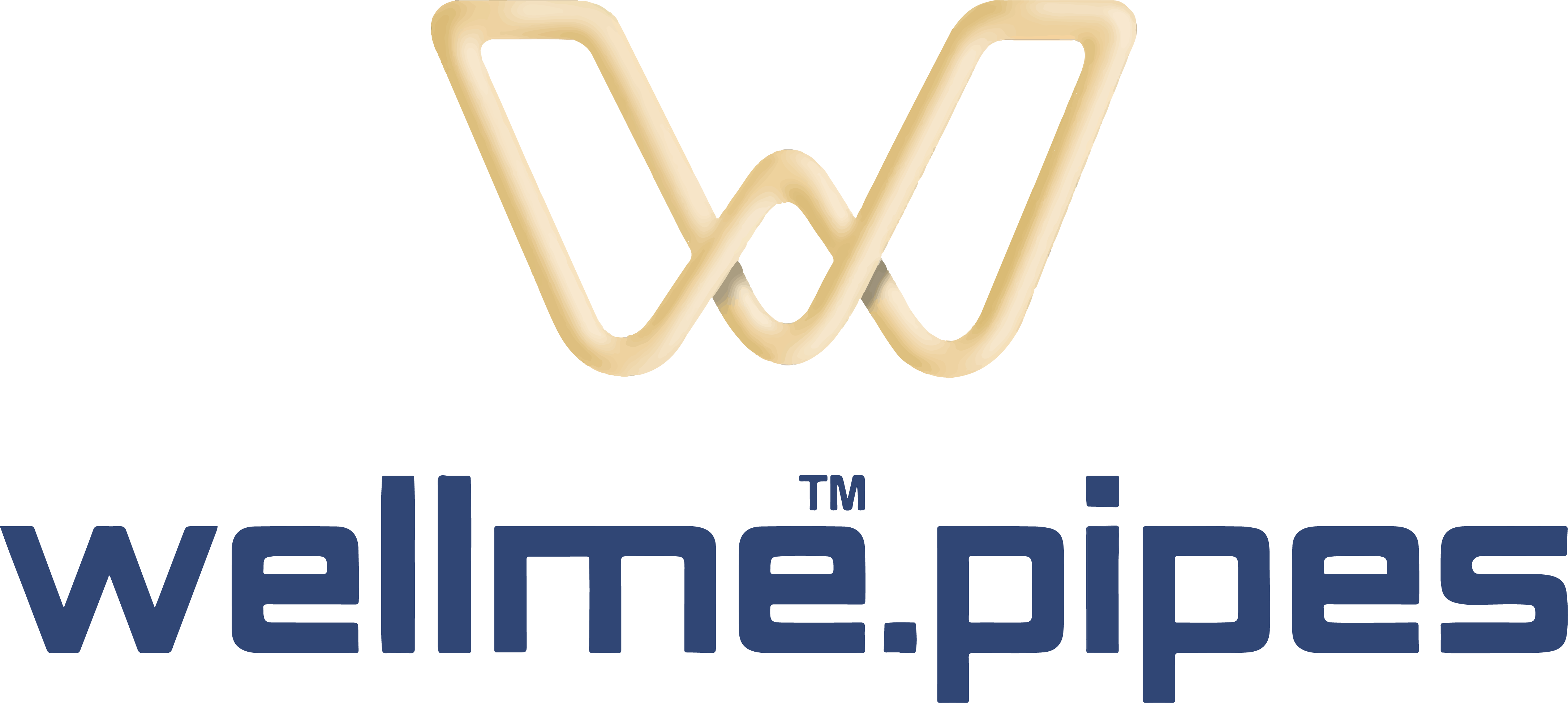 WELLME PIPES PRIVATE LIMITED