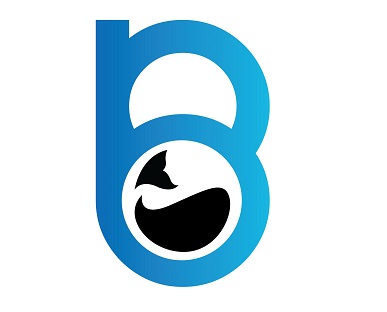 Raman Bihari Radheyshyam India LLP