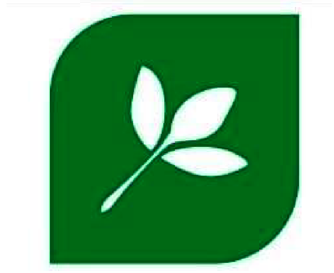 Shining Oil Enterprises LLP