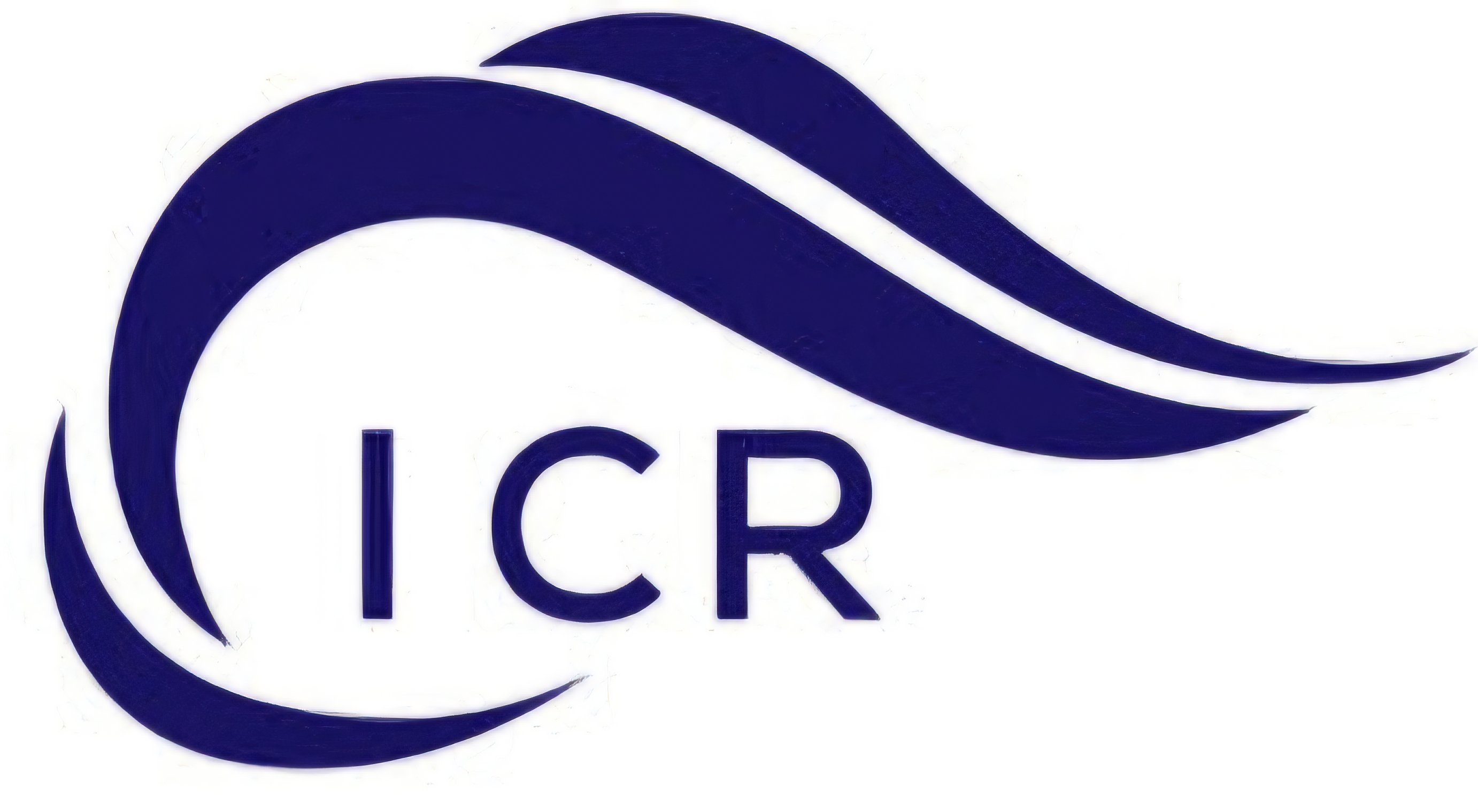 Insha Carpets And Rugs