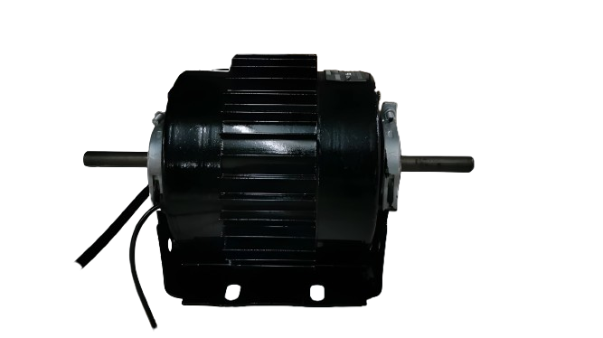 Double Shaft Electric Motors